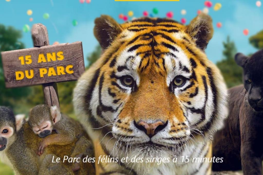 Cocon A La Campagne - Disney 20 Min - Paris 40 Min - 2 Terrasses Dammartin-sur-Tigeaux Eksteriør bilde